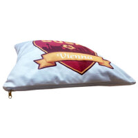 SUSA Pillow 40x40cm